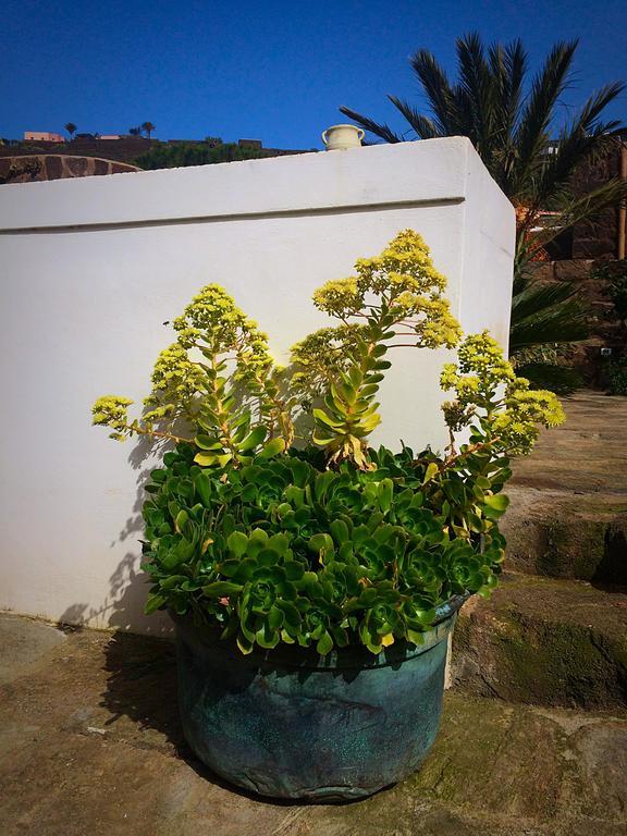 Le Maioliche Scauri (Sicily) Bagian luar foto