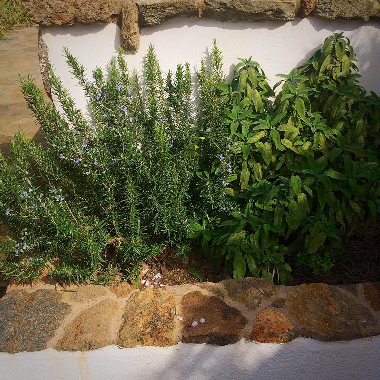 Le Maioliche Scauri (Sicily) Bagian luar foto